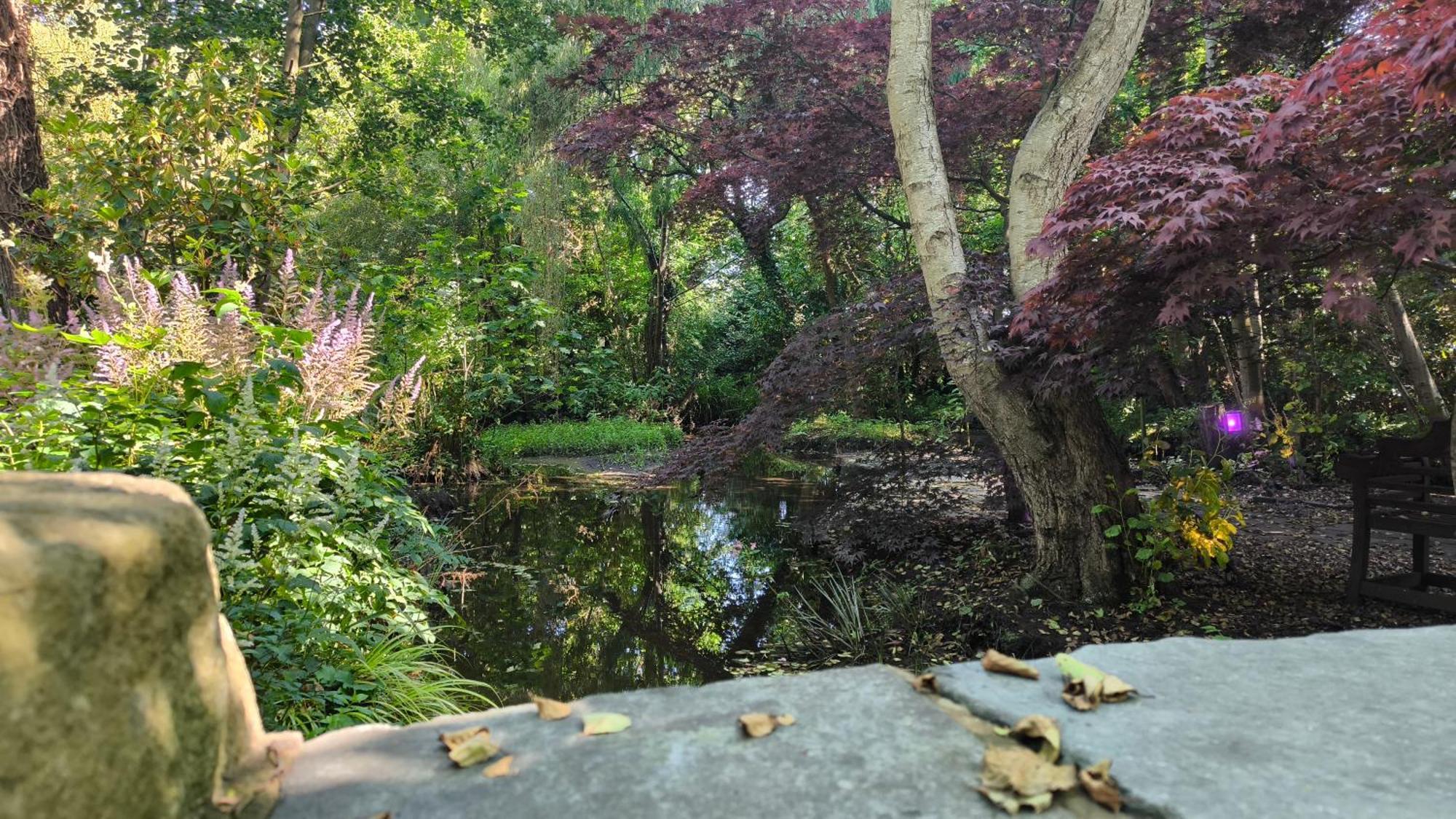 Hotel Brook Hall 3*